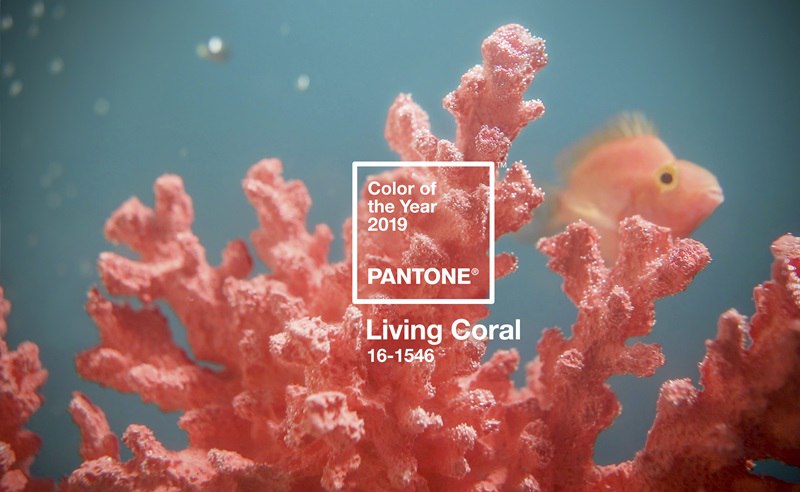 Boutique Retouching PRIMARY-PantoneCOY2019_coral_bluegreen_SWATCH-1 Color Harmonies And Color Of The Year 2019 - Living Coral  